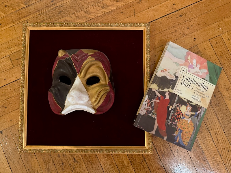 Vagabonding masks-cover